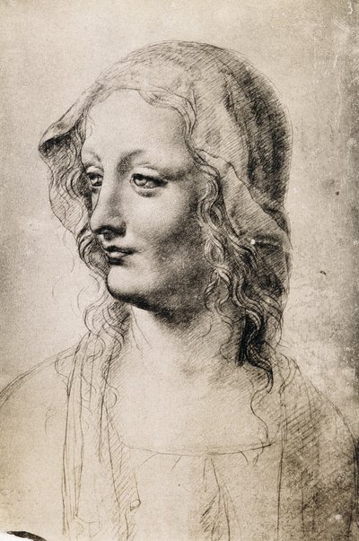 Head of a Young Woman by Leonardo da Vinci